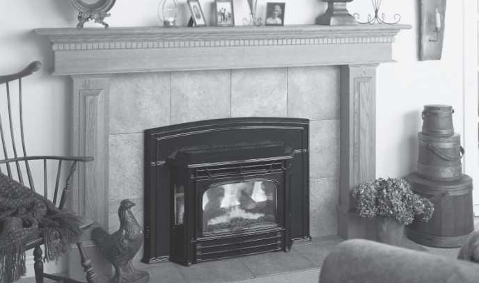 Waterford Emerald Gas Fireplace Insert (E61) E61